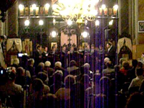 Corala Laudatio - Cat de marit