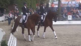 Video von Daytona Platinum