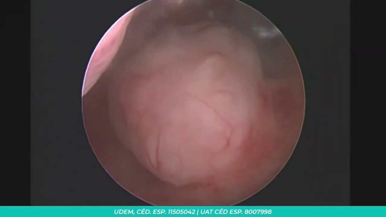 Pedro Alfonso Torres De Lamadrid-3