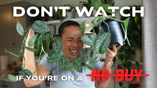 🛍️ I Bought One Plant… Then 9 More Followed Me Home 🪴😬
