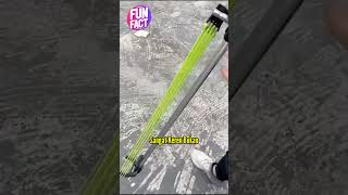 Download lagu Ketapel Ini Sangat Berbahaya Jika Di Salah Gunakan! #shorts #shortsvideo #slingshot mp3