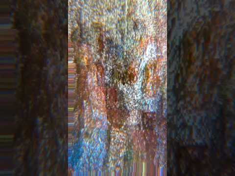 5 #godsrave #gdr #mirs #newalbum #newmusic #july18