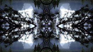 O*Men - Spectral Heads