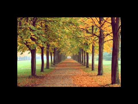 Pavol Hammel - Najlepšie dievča na svete