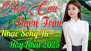 Download lagu HOA CAU VƯỜN TRẦU ➤ MAI TIẾN ĐẠT ➤ LK Nhạc Sống Thôn Quê Toàn Bài Hay KHÔNG QUẢNG CÁO NGỌT LỊM TIM mp3 Download lagu HOA CAU VƯỜN TRẦU ➤ MAI TIẾN ĐẠT ➤ LK Nhạc Sống Thôn Quê Toàn Bài Hay KHÔNG QUẢNG CÁO NGỌT LỊM TIM mp3