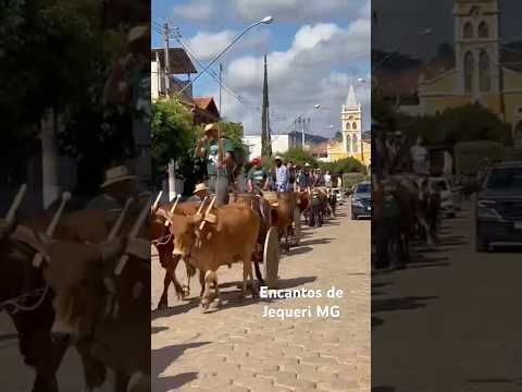 Tradição, cultura e orgulho do nosso povo! O desfile de carro#CarroDeBoi #minasgerais  #cultural