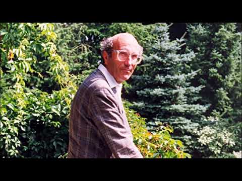 Niklas Luhmann - Theorie der Gesellschaft 3/13