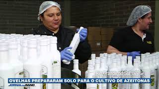 Miniatura do vídeo