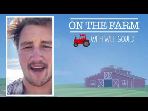 On the Farm with Will Gould - Week 2