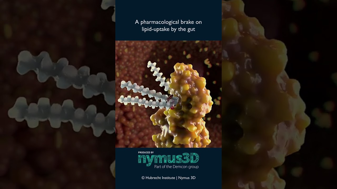 Enjoy your weekly SciArt clip! | Science Animation