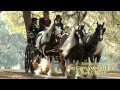 "The Gypsy Vanner Horse" documentary by Mark ...