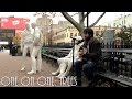 ONE ON ONE: Declan O'Rourke - Trees November 13th, 2014 New York City