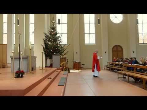 Predigt 26.12.2014 zum Fest des Hl. Stephanus, P. Martin Löwenstein SJ Kleiner Michel Hamburg