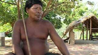 De Volta à Terra Boa