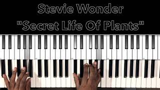 Stevie Wonder "The Secret Life Of Plants" Piano Tutorial