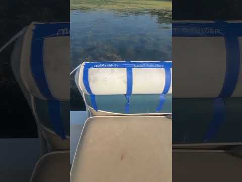 After 10 years of wasting money, I tested for the best boat seat cleaner