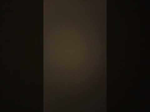 5 de novembro de 2025