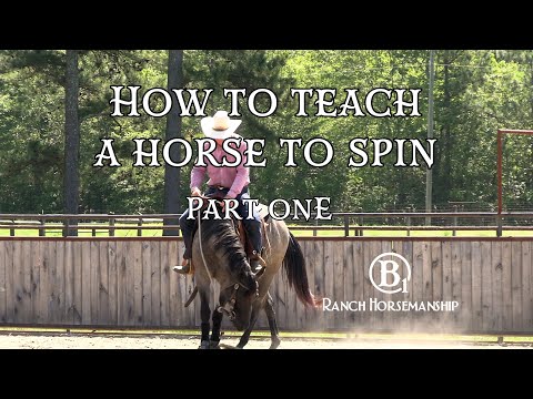 How To Teach a Horse To Spin Part One Preview