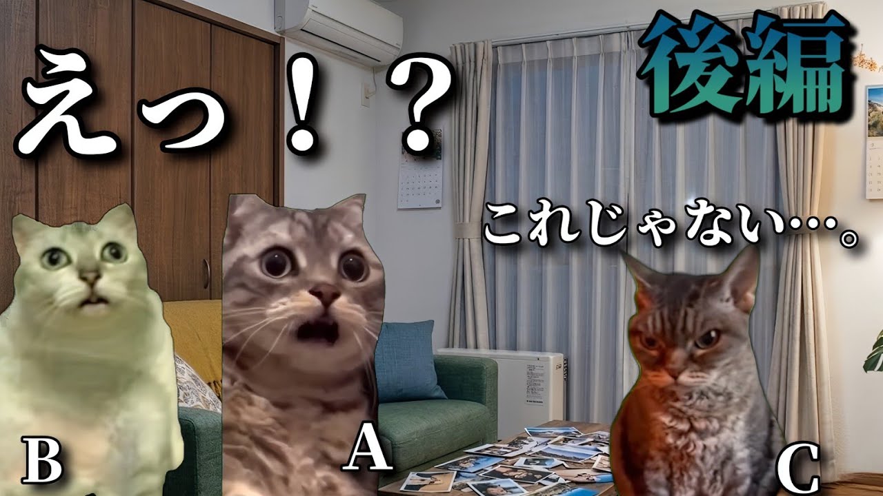 自称霊感持ちにドッキリ仕掛けたらまさかの結果だった話　後編　#心霊 #猫ミーム #怖い話