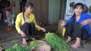 VỀ MIỀN TÂY ĂN BÔNG HẸ XÀO THỊT BÒ