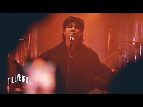 ถ้าเราเจอกันอีก - Tilly Birds | Cinematic Virtual Concert