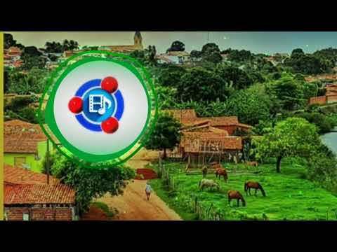 petter Ferraz e menor nico litrão