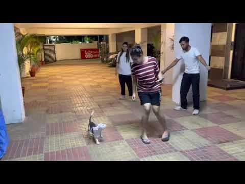 Payal kritika ka new dog 🐶🐶❤️ #armaanmalik #kritikamalik #payalmalik #chirayumalik #armaanmalikblog