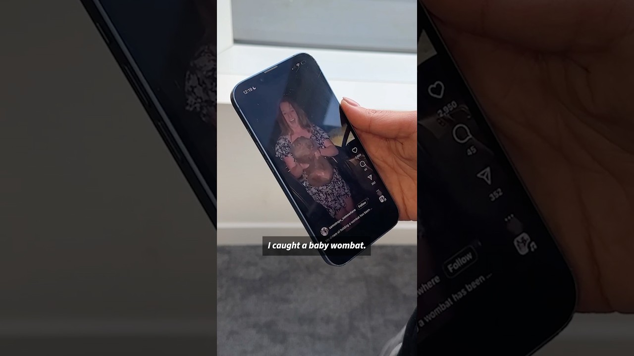 US influencer who snatched baby wombat leaves Australia | AFP #shorts