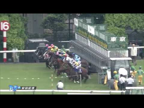 安田記念　6/4 (日)　東京競馬場