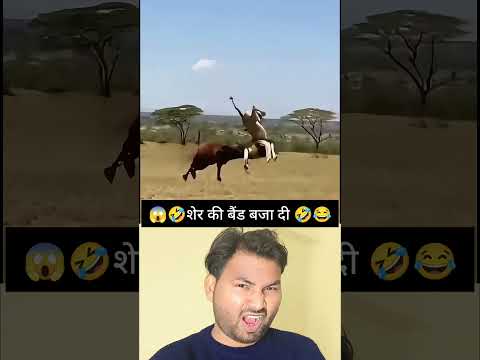 Wait For End  290🤣 ai bawal h bhai 😭 v#shorts #ytshorts #funny #ai