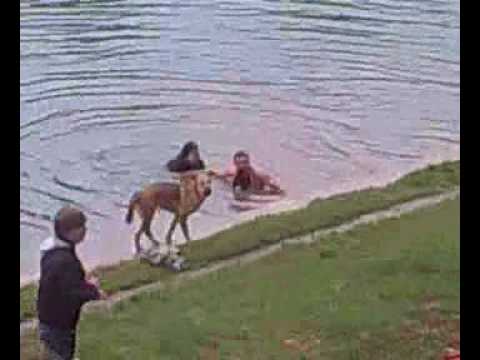 FISE 2010-Montpellier