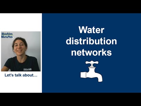 Biofilm Minutes - Water Distribution Networks