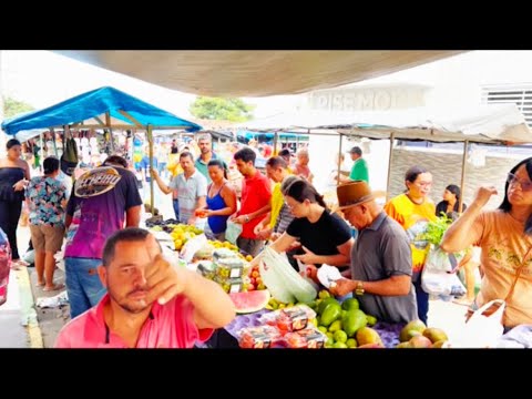 Feira livre de umari de bom jardim Pernambuco 14/06/2026