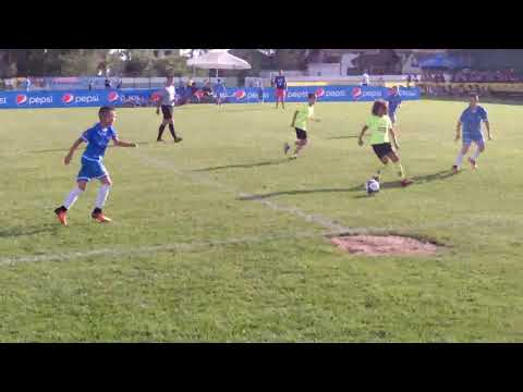 Petrika 2009 - Rudar 2009