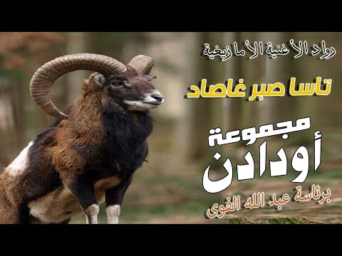 Oudaden - Tassa Sbar Ghassad (EXCLUSIVE) | 2023 |  مجموعة أودادن - تاسا صبر غاصاد