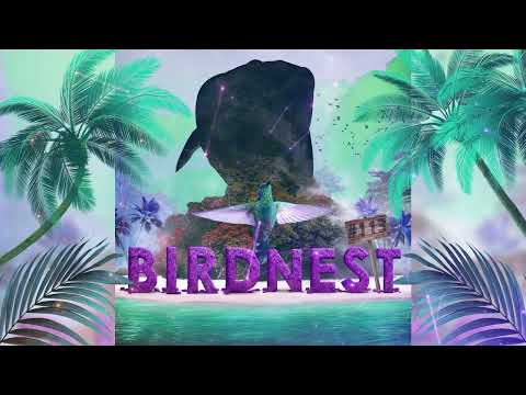 BIRDNEST # 113 | Melodic Progressive Journey | Mixed by The Lahar