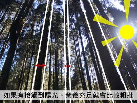 穿林棧道導覽影片 - 隨意停