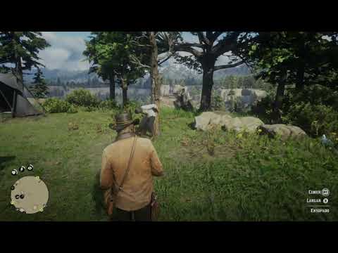 Red Dead Redemption 2 - tortura no acampamento.