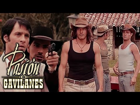 Pasion de Gavilanes - Armando encuentra con Franco en la hacienda Elizondo