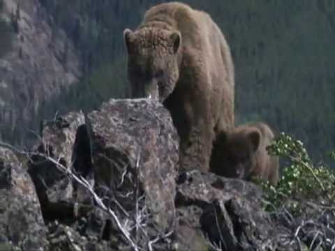 BBC: Ice Age Giants - The New Earth