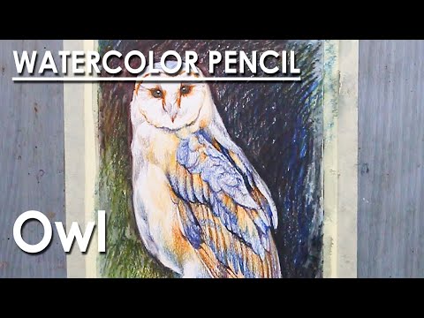 Watercolor Pencil Drawing Owl