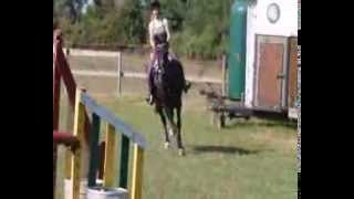 And we danced all night to the best song ever