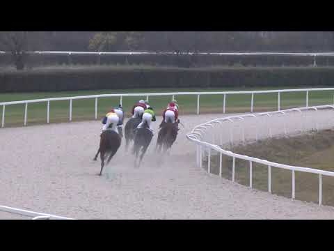 2018.11.25. 05. futam - KÖNIG RÓBERT EMLÉKVERSENY - VIGASZ DÍJ (II.kat.) (szintetikus pálya)