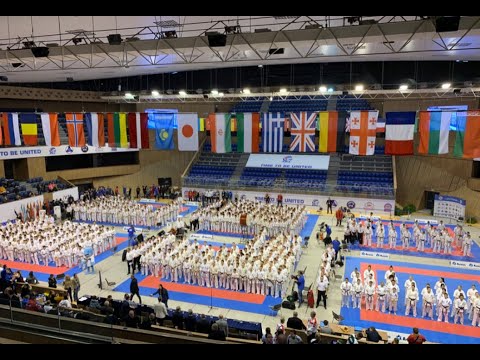 KWU Kyokushin karate nice knockout among juniors by Vahagn Hakobyan in Bulgaria / Нокаут на ЧМ