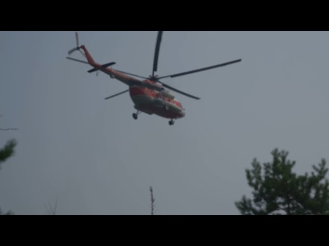 За последние сутки в Иркутской области произошло четыре лесных пожара