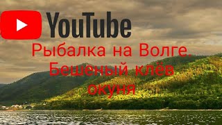 Как ловить в морквашах