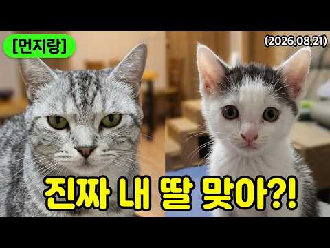 지 딸 맞아? ㅣ 엄마와 전혀 다른 둘 째 딸 냥이 검지