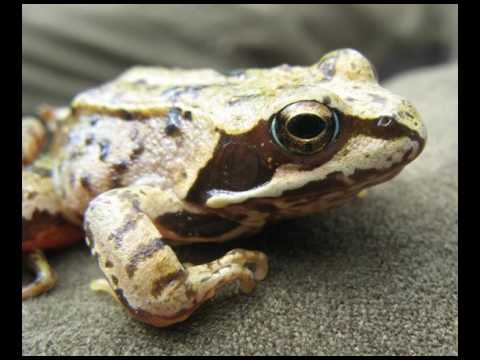 20161213 Jaaroverzicht 2016