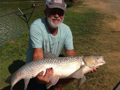 FISH WINCH® (Cordless) Electric Fishing Reel for the Physically Challenged, Disabled, or Handicapped