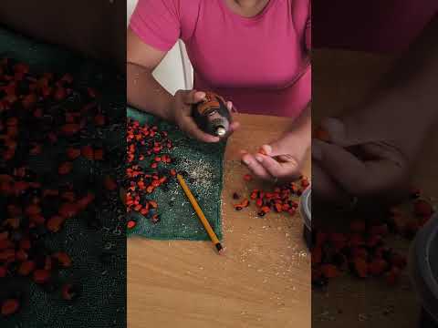 Taller de Artesanías en Tena